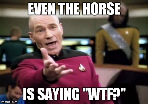 Picard Wtf Meme | EVEN THE HORSE IS SAYING "WTF?" | image tagged in memes,picard wtf | made w/ Imgflip meme maker