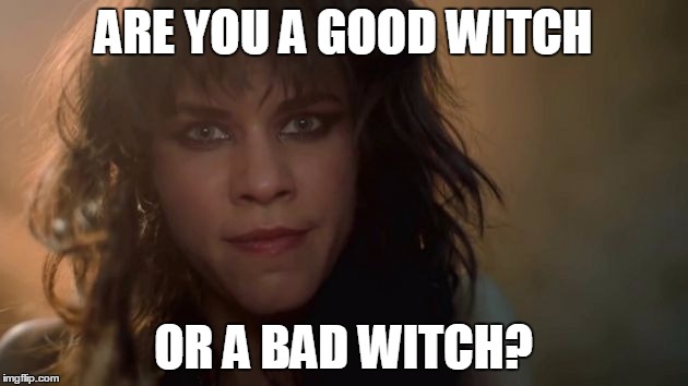 Good Witch Bad Witch | ARE YOU A GOOD WITCH; OR A BAD WITCH? | image tagged in emerald city | made w/ Imgflip meme maker