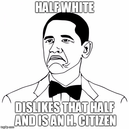 Not Bad Obama | HALF WHITE; DISLIKES THAT HALF AND IS AN H. CITIZEN | image tagged in memes,not bad obama | made w/ Imgflip meme maker