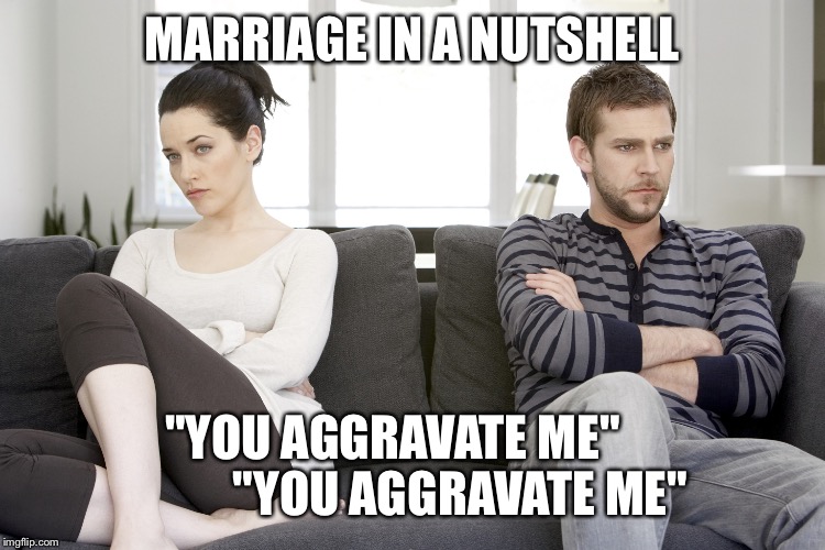 couple arguing | MARRIAGE IN A NUTSHELL; "YOU AGGRAVATE ME"              "YOU AGGRAVATE ME" | image tagged in couple arguing | made w/ Imgflip meme maker