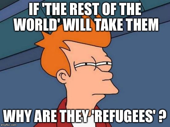 Futurama Fry Meme | IF 'THE REST OF THE WORLD' WILL TAKE THEM WHY ARE THEY 'REFUGEES' ? | image tagged in memes,futurama fry | made w/ Imgflip meme maker