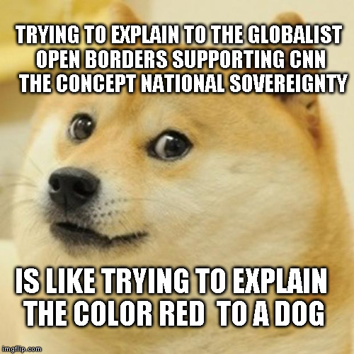 Doge Meme | TRYING TO EXPLAIN TO THE GLOBALIST OPEN BORDERS SUPPORTING CNN  THE CONCEPT NATIONAL SOVEREIGNTY; IS LIKE TRYING TO EXPLAIN THE COLOR RED  TO A DOG | image tagged in memes,doge | made w/ Imgflip meme maker