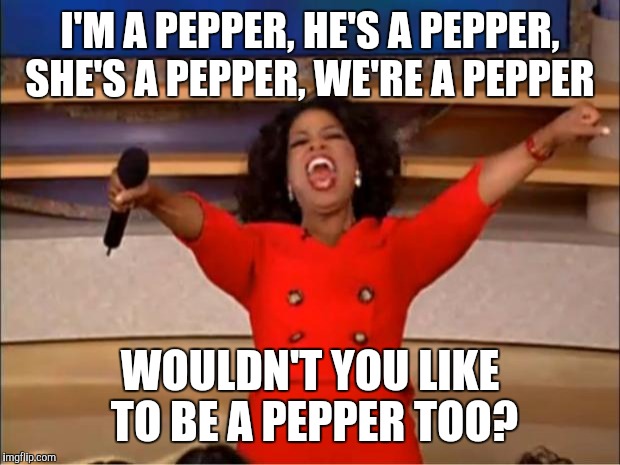 Oprah You Get A | I'M A PEPPER, HE'S A PEPPER, SHE'S A PEPPER, WE'RE A PEPPER; WOULDN'T YOU LIKE TO BE A PEPPER TOO? | image tagged in memes,oprah you get a | made w/ Imgflip meme maker