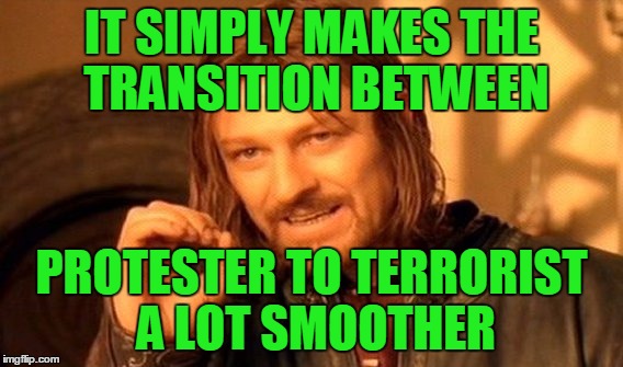 One Does Not Simply Meme | IT SIMPLY MAKES THE TRANSITION BETWEEN PROTESTER TO TERRORIST A LOT SMOOTHER | image tagged in memes,one does not simply | made w/ Imgflip meme maker