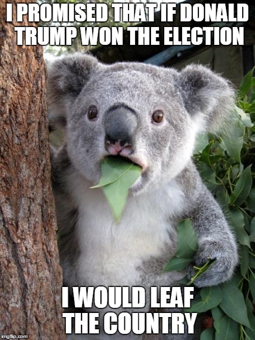 Surprised Koala | I PROMISED THAT IF DONALD TRUMP WON THE ELECTION; I WOULD LEAF THE COUNTRY | image tagged in memes,surprised koala | made w/ Imgflip meme maker