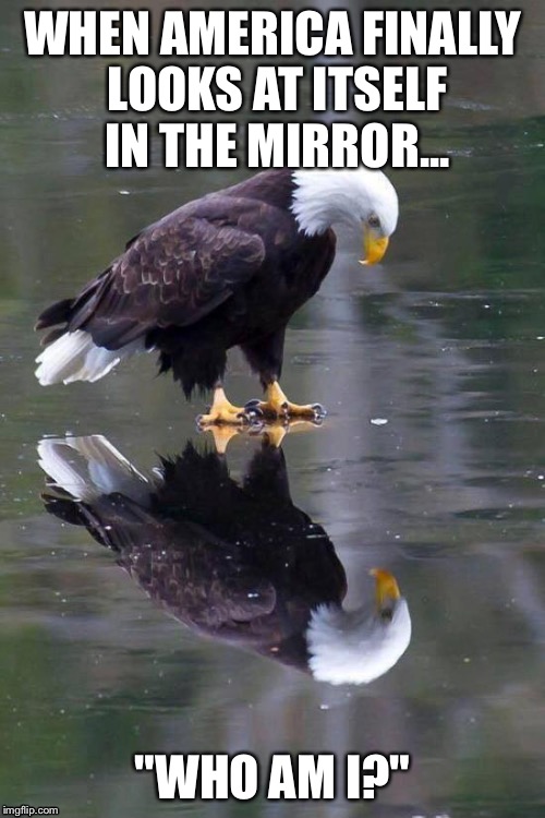 America... who even are you? | WHEN AMERICA FINALLY LOOKS AT ITSELF IN THE MIRROR... "WHO AM I?" | image tagged in america,patriotic eagle,self,reflection | made w/ Imgflip meme maker