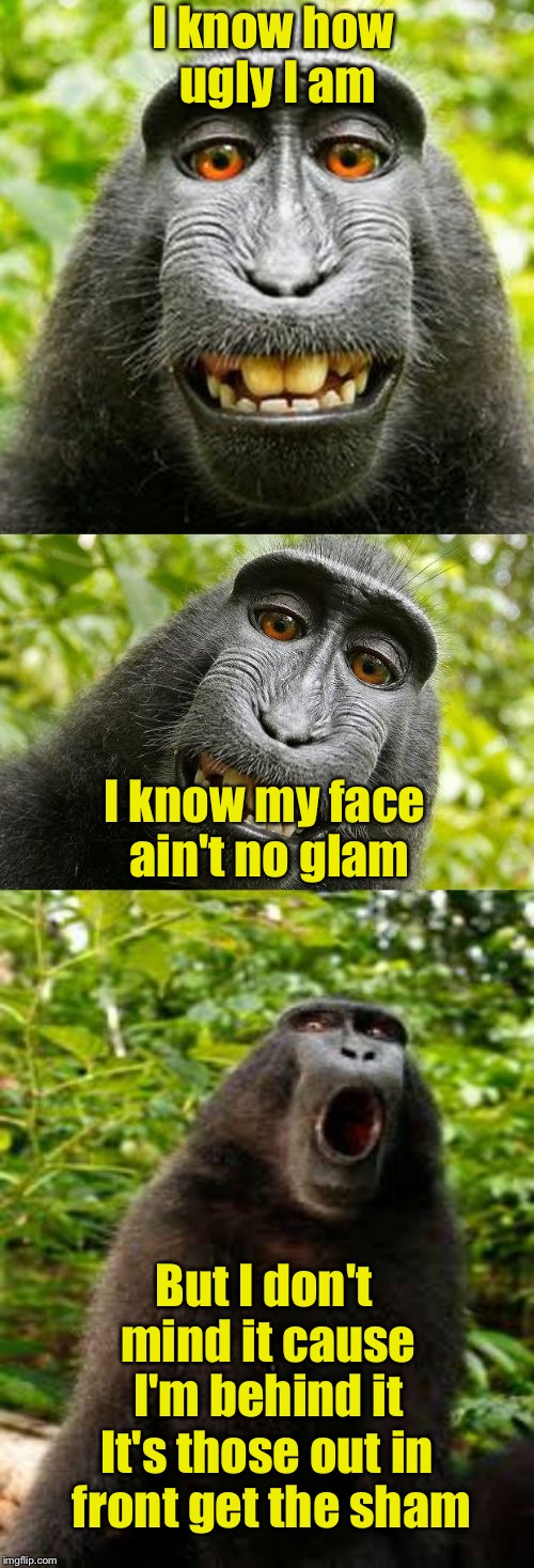 Monkey Limeric | I know how ugly I am; I know my face ain't no glam; But I don't mind it cause I'm behind it; It's those out in front get the sham | image tagged in bad pun monkey,poet,ugly,limerick | made w/ Imgflip meme maker