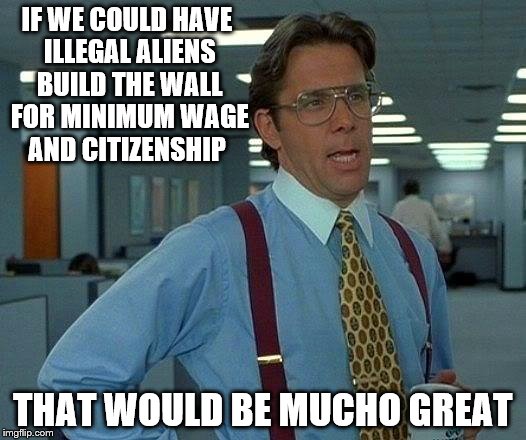 That Would Be A Great Wall | IF WE COULD HAVE ILLEGAL ALIENS BUILD THE WALL FOR MINIMUM WAGE AND CITIZENSHIP; THAT WOULD BE MUCHO GREAT | image tagged in memes,that would be great | made w/ Imgflip meme maker