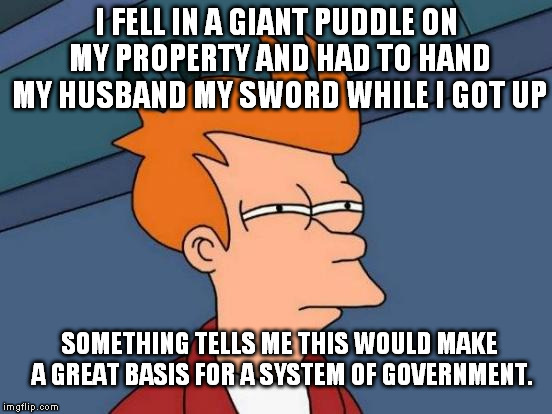 Just a strange woman, layin' in ponds, distributin' swords. | I FELL IN A GIANT PUDDLE ON MY PROPERTY AND HAD TO HAND MY HUSBAND MY SWORD WHILE I GOT UP; SOMETHING TELLS ME THIS WOULD MAKE A GREAT BASIS FOR A SYSTEM OF GOVERNMENT. | image tagged in memes,futurama fry,monty python and the holy grail | made w/ Imgflip meme maker