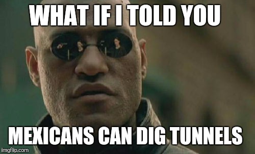 Matrix Morpheus | WHAT IF I TOLD YOU; MEXICANS CAN DIG TUNNELS | image tagged in memes,matrix morpheus | made w/ Imgflip meme maker