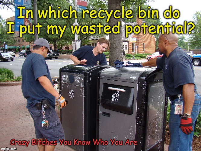 which bin do i put wasted potential Imgflip