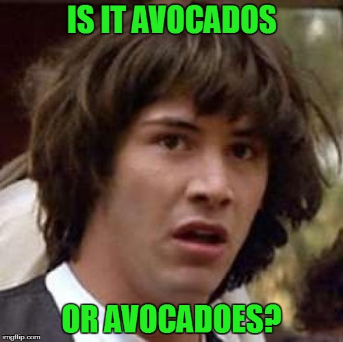 Conspiracy Keanu Meme | IS IT AVOCADOS OR AVOCADOES? | image tagged in memes,conspiracy keanu | made w/ Imgflip meme maker