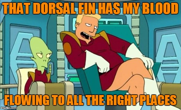 THAT DORSAL FIN HAS MY BLOOD FLOWING TO ALL THE RIGHT PLACES | made w/ Imgflip meme maker