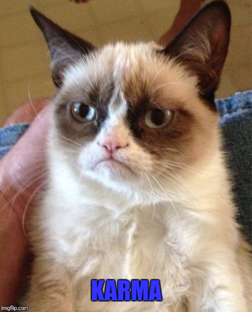 Grumpy Cat Meme | KARMA | image tagged in memes,grumpy cat | made w/ Imgflip meme maker