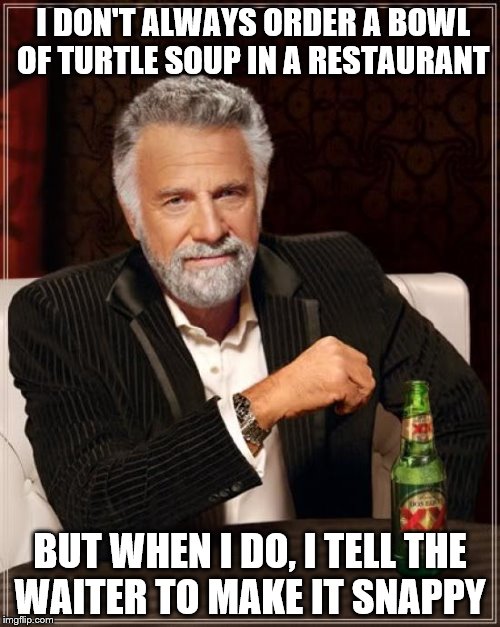 The Most Interesting Man In The World | I DON'T ALWAYS ORDER A BOWL OF TURTLE SOUP IN A RESTAURANT; BUT WHEN I DO, I TELL THE WAITER TO MAKE IT SNAPPY | image tagged in memes,the most interesting man in the world | made w/ Imgflip meme maker