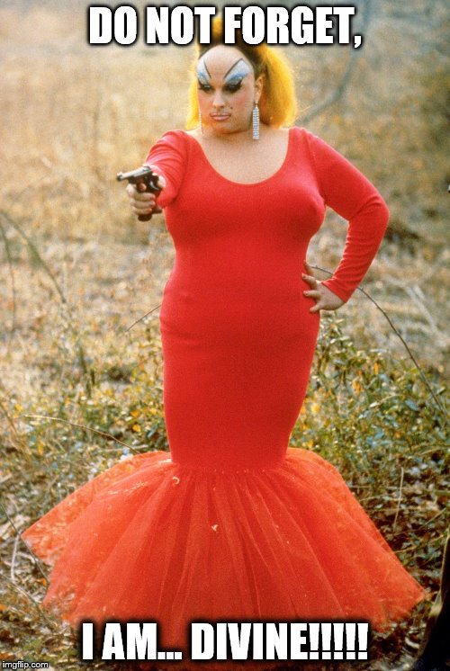 Divine - Pink Flamingos
 | DO NOT FORGET, I AM... DIVINE!!!!! | image tagged in divine - pink flamingos,memes | made w/ Imgflip meme maker