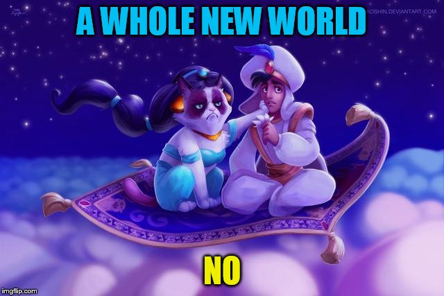 A WHOLE NEW WORLD NO | made w/ Imgflip meme maker