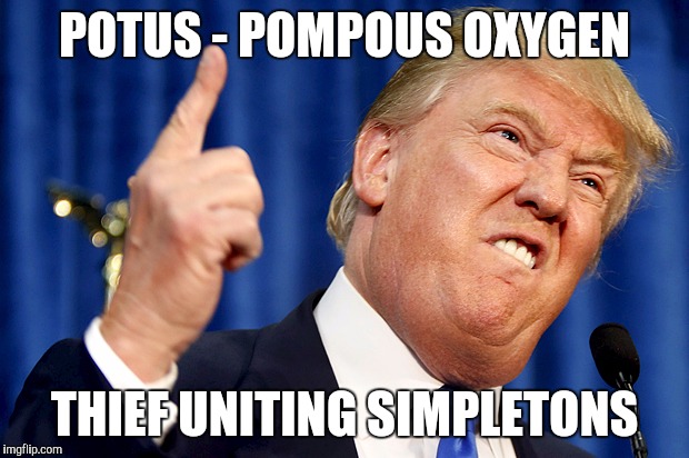 Donald Trump | POTUS - POMPOUS OXYGEN; THIEF UNITING SIMPLETONS | image tagged in donald trump | made w/ Imgflip meme maker