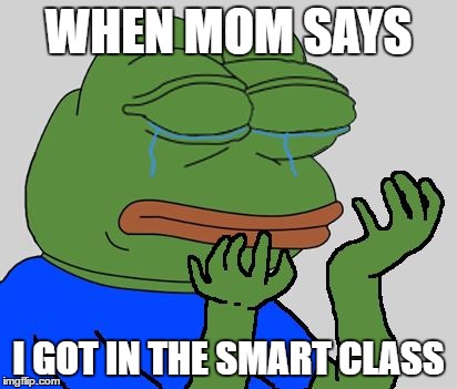 pepe cry | WHEN MOM SAYS; I GOT IN THE SMART CLASS | image tagged in pepe cry | made w/ Imgflip meme maker