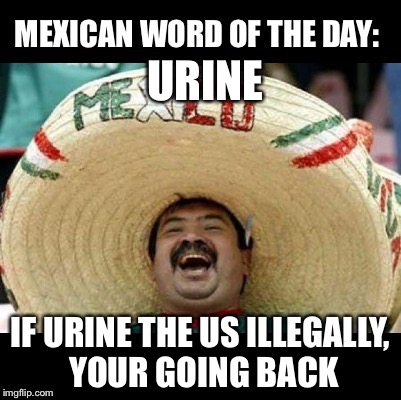 Mexican Word of the Day (LARGE) | URINE; IF URINE THE US ILLEGALLY, YOUR GOING BACK | image tagged in mexican word of the day large | made w/ Imgflip meme maker