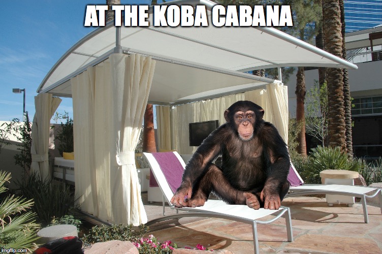 Just hanging out  | AT THE KOBA CABANA | image tagged in imgflip,memes,apesfollowkoba | made w/ Imgflip meme maker