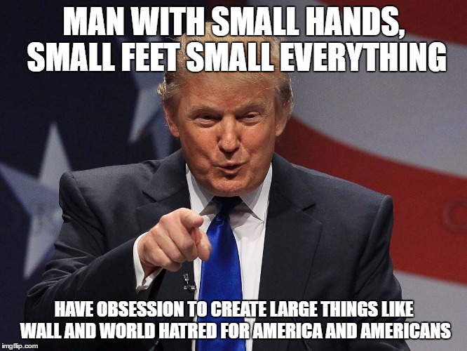 Donald trump |  MAN WITH SMALL HANDS, SMALL FEET SMALL EVERYTHING; HAVE OBSESSION TO CREATE LARGE THINGS LIKE WALL AND WORLD HATRED FOR AMERICA AND AMERICANS | image tagged in donald trump | made w/ Imgflip meme maker