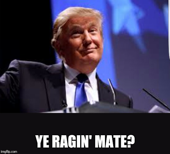 YE RAGIN' MATE? | image tagged in trump for president | made w/ Imgflip meme maker