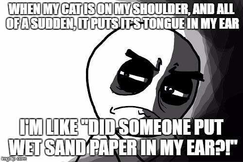 you what have you done (rage comics) | WHEN MY CAT IS ON MY SHOULDER, AND ALL OF A SUDDEN, IT PUTS IT'S TONGUE IN MY EAR; I'M LIKE "DID SOMEONE PUT WET SAND PAPER IN MY EAR?!" | image tagged in you what have you done rage comics | made w/ Imgflip meme maker