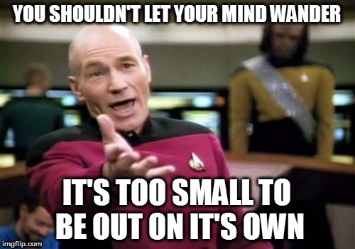 Picard Wtf Meme | YOU SHOULDN'T LET YOUR MIND WANDER IT'S TOO SMALL TO BE OUT ON IT'S OWN | image tagged in memes,picard wtf | made w/ Imgflip meme maker
