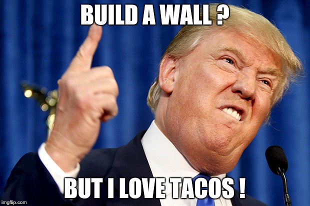 Donald Trump | BUILD A WALL ? BUT I LOVE TACOS ! | image tagged in donald trump | made w/ Imgflip meme maker