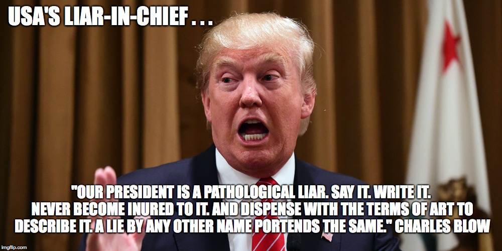 The Liar-in-Chief | USA'S LIAR-IN-CHIEF . . . "OUR PRESIDENT IS A PATHOLOGICAL LIAR. SAY IT. WRITE IT. NEVER BECOME INURED TO IT. AND DISPENSE WITH THE TERMS OF ART TO DESCRIBE IT. A LIE BY ANY OTHER NAME PORTENDS THE SAME."
CHARLES BLOW | image tagged in donald trump,nevertrump,trump 2016 | made w/ Imgflip meme maker
