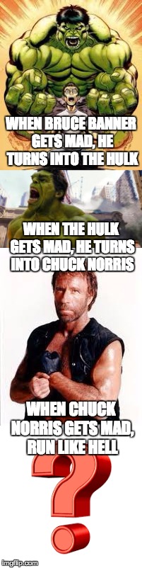 WHEN BRUCE BANNER GETS MAD, HE TURNS INTO THE HULK; WHEN THE HULK GETS MAD, HE TURNS INTO CHUCK NORRIS; WHEN CHUCK NORRIS GETS MAD, RUN LIKE HELL | image tagged in memes,funny,funny memes,chuck norris,hulk | made w/ Imgflip meme maker