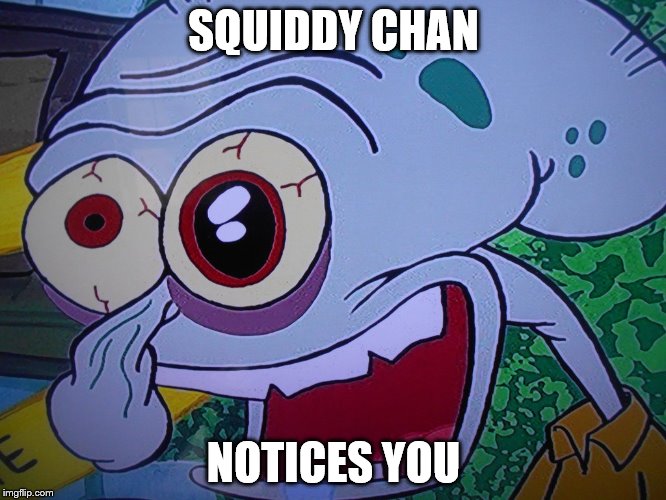 SQUIDDY CHAN; NOTICES YOU | image tagged in sqiddy chan | made w/ Imgflip meme maker