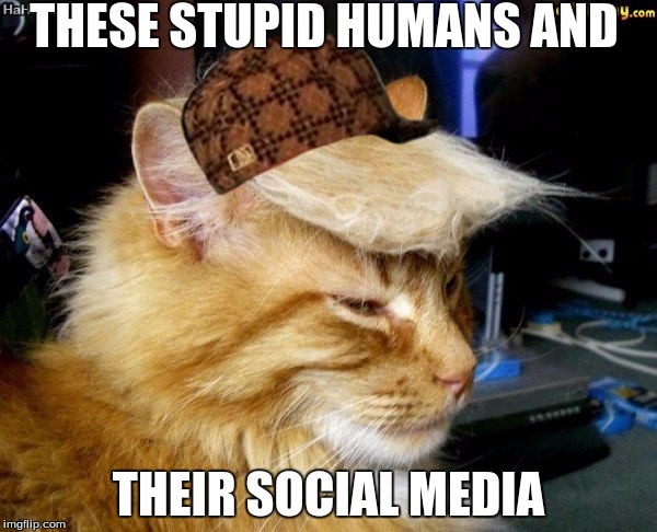 donald trump cat | THESE STUPID HUMANS AND; THEIR SOCIAL MEDIA | image tagged in donald trump cat,scumbag | made w/ Imgflip meme maker