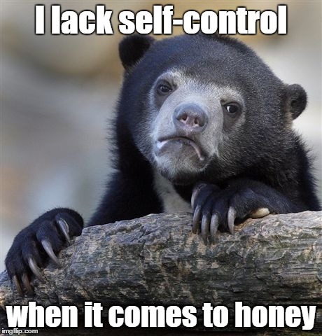 Confession Bear Meme | I lack self-control when it comes to honey | image tagged in memes,confession bear | made w/ Imgflip meme maker