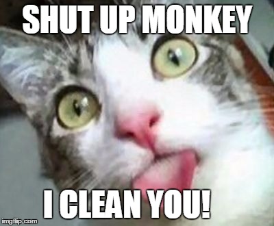 SHUT UP MONKEY I CLEAN YOU! | made w/ Imgflip meme maker