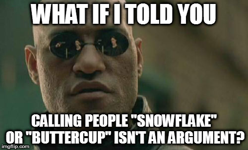 Matrix Morpheus | WHAT IF I TOLD YOU; CALLING PEOPLE "SNOWFLAKE" OR "BUTTERCUP" ISN'T AN ARGUMENT? | image tagged in memes,matrix morpheus | made w/ Imgflip meme maker