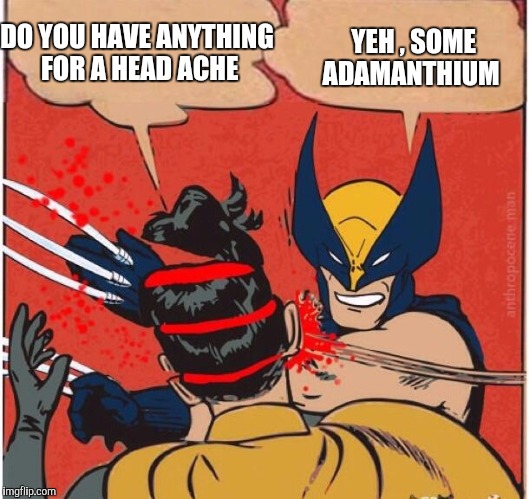 Wolverines kills robin | YEH , SOME ADAMANTHIUM; DO YOU HAVE ANYTHING FOR A HEAD ACHE | image tagged in wolverines kills robin | made w/ Imgflip meme maker
