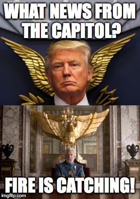 President Trump or Snow? | WHAT NEWS FROM THE CAPITOL? FIRE IS CATCHING! | image tagged in donald trump,hunger games | made w/ Imgflip meme maker