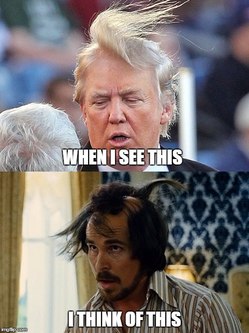 American Tussle | WHEN I SEE THIS; I THINK OF THIS | image tagged in donald trump,trump,trump hair,donald trump hair,nevertrump | made w/ Imgflip meme maker