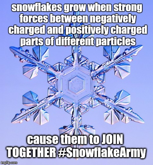 Special snowflake | snowflakes grow when strong forces between negatively charged and positively charged parts of different particles; cause them to JOIN TOGETHER #SnowflakeArmy | image tagged in special snowflake | made w/ Imgflip meme maker
