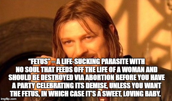 One Does Not Simply Meme | “FETUS” – A LIFE-SUCKING PARASITE WITH NO SOUL THAT FEEDS OFF THE LIFE OF A WOMAN AND SHOULD BE DESTROYED VIA ABORTION BEFORE YOU HAVE A PARTY CELEBRATING ITS DEMISE, UNLESS YOU WANT THE FETUS, IN WHICH CASE IT’S A SWEET, LOVING BABY. | image tagged in memes,one does not simply | made w/ Imgflip meme maker