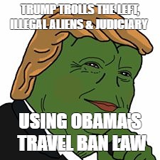 Pepe Trump | TRUMP TROLLS THE LEFT, ILLEGAL ALIENS & JUDICIARY; USING OBAMA'S TRAVEL BAN LAW | image tagged in pepe trump | made w/ Imgflip meme maker