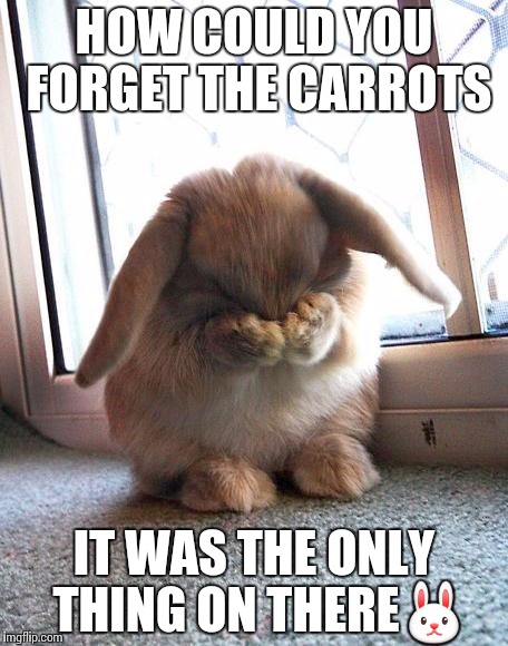 embarrassed bunny | HOW COULD YOU FORGET THE CARROTS; IT WAS THE ONLY THING ON THERE🐰 | image tagged in embarrassed bunny | made w/ Imgflip meme maker