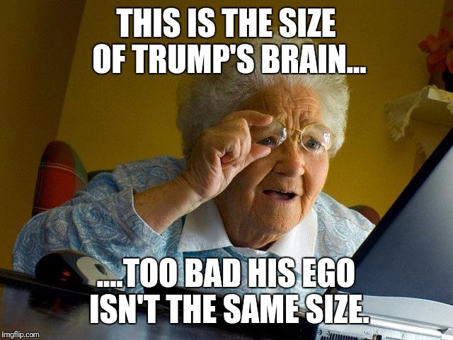 Grandma Finds The Internet | THIS IS THE SIZE OF TRUMP'S BRAIN... ....TOO BAD HIS EGO ISN'T THE SAME SIZE. | image tagged in memes,grandma finds the internet | made w/ Imgflip meme maker