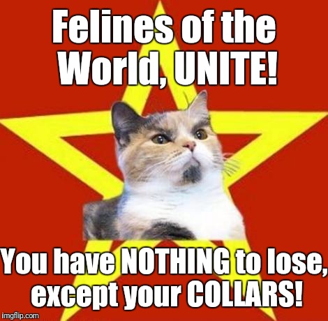 lenin cat | Felines of the World, UNITE! You have NOTHING to lose, except your COLLARS! | image tagged in lenin cat | made w/ Imgflip meme maker