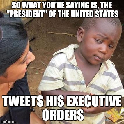 Third World Skeptical Kid Meme | SO WHAT YOU'RE SAYING IS, THE "PRESIDENT" OF THE UNITED STATES; TWEETS HIS EXECUTIVE ORDERS | image tagged in memes,third world skeptical kid | made w/ Imgflip meme maker