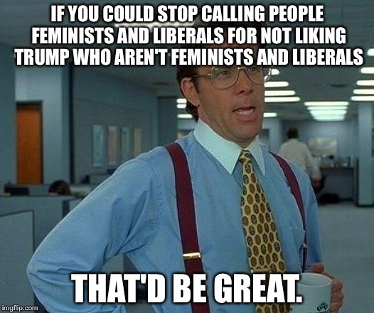 People have different opinions, so what? | IF YOU COULD STOP CALLING PEOPLE FEMINISTS AND LIBERALS FOR NOT LIKING TRUMP WHO AREN'T FEMINISTS AND LIBERALS; THAT'D BE GREAT. | image tagged in memes,that would be great | made w/ Imgflip meme maker