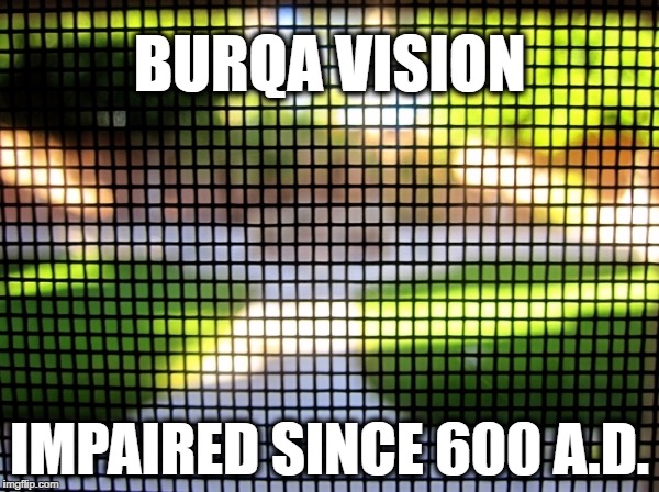 BURQA VISION; IMPAIRED SINCE 600 A.D. | image tagged in memes | made w/ Imgflip meme maker