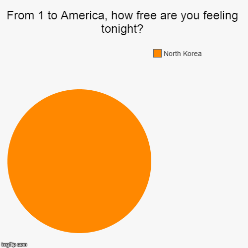 One to America | image tagged in funny,pie charts | made w/ Imgflip chart maker
